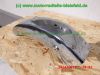 Yamaha_RD200MX_1E8_Teile_Ersatzteile_spare-parts_repuestos_ricambi_-_wie_CS_RX_DT_RD_RS_50_80_100_125_200_M_MX_2R6_1E7_2R7_5G1_12N_1Y8_CS3_CS5-235.jpg