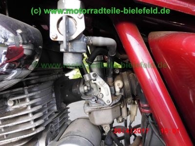 Daelim_VT125_weinrot_125_VT_Custom_Chopper_20300km_–_Technik_wie_Advance_VC125_Custom_-49.jpg