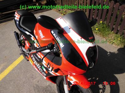 Derbi_GPR50_RR_Replica_2-Takt_Renn-Mokick_Rennmaschine_rot-schwarz_sehr_schnell_-_wie_GPR_125_Aprilia_RS_50_125_RS4-40.jpg