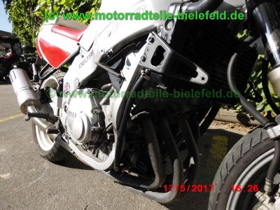 Yamaha_FZR600_3HE_rot-weiss_ROMBO_Sport-Auspuff_-_Teile_Ersatzteile_parts_spares_spare-parts_ricambi_repuestos-16.jpg