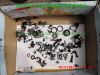 Honda_EX100_BALI_HF07_Teile_Ersatzteile_parts_spares_spare-parts_ricambi_repuestos_wie_BALI_50_SJ50_SJ100-181.jpg