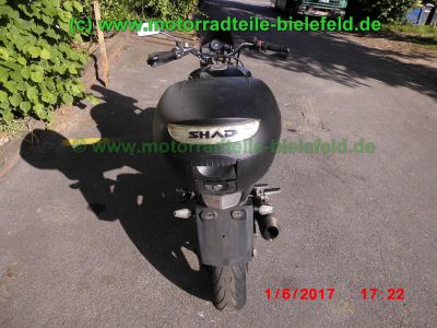 Yamaha_TDM900_RN08_TAKKONI_2-1_Sport-Auspuff_Gabel-Stabilisator_BT_Bulldog_Front_-_Teile_Ersatzteile_parts_spares_spare-parts_ricambi_repuestos_wie_RN11_RN18_TDM850_XTZ750-18.jpg