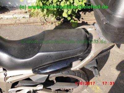 Yamaha_TDM900_RN08_TAKKONI_2-1_Sport-Auspuff_Gabel-Stabilisator_BT_Bulldog_Front_-_Teile_Ersatzteile_parts_spares_spare-parts_ricambi_repuestos_wie_RN11_RN18_TDM850_XTZ750-70.jpg