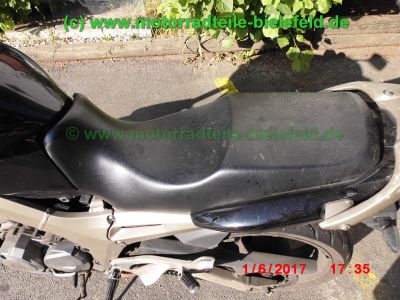 Yamaha_TDM900_RN08_TAKKONI_2-1_Sport-Auspuff_Gabel-Stabilisator_BT_Bulldog_Front_-_Teile_Ersatzteile_parts_spares_spare-parts_ricambi_repuestos_wie_RN11_RN18_TDM850_XTZ750-97.jpg