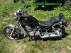 Kawasaki_VN750_Vulcan_V2-Chopper_erst_25tkm_65PS_vorverlegte_Fussrastenanlage_B1-210_Sissy-Bar_-17.jpg