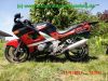 Kawasaki_ZZR600E_rot-sw_ZX600E_EZ99_Koffer-System_Gepaecktraeger_Nonfango_23.jpg