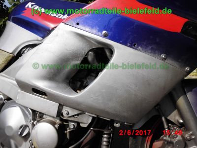 Kawasaki_ZZR600E_silber-blau_Glitter_Typ_ZX600E_–_Technik_wie_ZZ-R_600_D_E_ZX600D-93.jpg