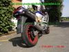 Kawasaki_ZZR600E_silber-blau_Glitter_Typ_ZX600E_–_Technik_wie_ZZ-R_600_D_E_ZX600D-81.jpg