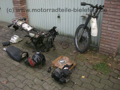 CIMG8625.jpg