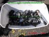 Kawasaki_ZL600A_Eliminator_rot_CRASH_-_Teile_Ersatzteile_parts_spares_spare-parts_ricambi_repuestos_wie_ZL_GPZ_ZX_600_A_B_C_-106.jpg