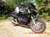 Yamaha_FZR1000_3GM_EXUP_schwarz-lila_144PS_2Hd_HU_06-2019_USD-Gabel_gepflegt_unverbastelt_–_wie_3LE_3LF_3LK-46.jpg