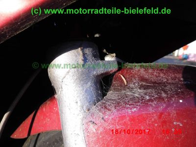 Suzuki_RF900R_GT73A_rot_55tkm_unfallfrei_Marving_Carboniox_4-1_Auspuff_Lucas_Sport-Fussrasten-82.jpg