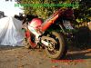 Suzuki_RF900R_GT73A_rot_55tkm_unfallfrei_Marving_Carboniox_4-1_Auspuff_Lucas_Sport-Fussrasten-2.jpg