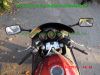 Suzuki_RF900R_GT73A_rot_55tkm_unfallfrei_Marving_Carboniox_4-1_Auspuff_Lucas_Sport-Fussrasten-95.jpg