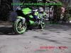 Kawasaki_ZX-9R_Ninja_ZX900E_MIVV_e9_Sport-Auspuff_47tkm_-_Ersatzteile_Teile_parts_spares_spare-parts_ricambi_repuestos_wie_ZX9R_ZX900_C_D_E_ZX-6_R_ZX600_ZX636-8.jpg