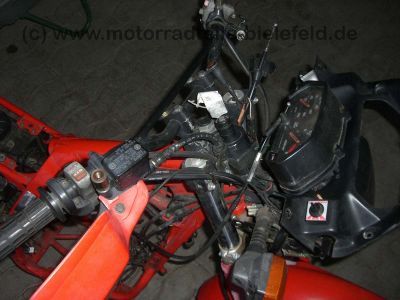 Honda_NX_650_NX650_Dominator_SLR_Vigor_RD02_RD08_RD09_Motor_zerlegt_Ersatzteile_46.jpg