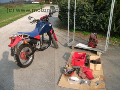 Honda_XLV750R_RD01_blauer_Tank_XLV_VT_750_XLV750_VT750_R_C_750R_2.jpg