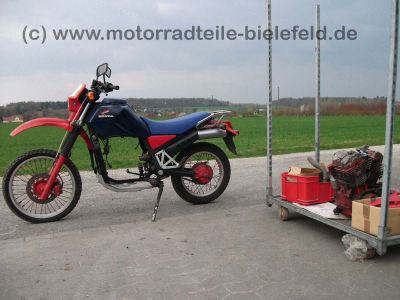 Honda_XLV750R_RD01_blauer_Tank_XLV_VT_750_XLV750_VT750_R_C_750R_59.jpg
