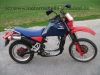 Honda_XLV750R_RD01_blauer_Tank_XLV_VT_750_XLV750_VT750_R_C_750R_35.jpg