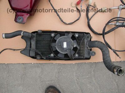 Honda_VT600C_Shadow_VLX_US_Modell_PC21_PC_21_weinrot_zerlegt_VT_600_VT600_C_600C__Motor_Rahmen_Tank_85.jpg