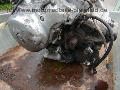 Honda_VT600C_Shadow_VLX_US_Modell_PC21_PC_21_weinrot_zerlegt_VT_600_VT600_C_600C__Motor_Rahmen_Tank_95.jpg