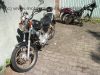 SYM_Sangyang_Husky_125_Chopper_schwarz_Motor_fast_neu_Sissybar_Sissy_Bar_35.jpg