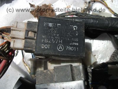 Yamaha_FZR1000_FZR_1000_Ersatzteile_3LE_3LF_3GM_Exup_Genesis_Technik_wie_YZF_750_1000_4VD_56.jpg