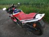 Honda_VF500F2_PC12_VF_400_500_700_750_VF400_VF500_VF700_VF750_F_F2_fast_neuer_Auspuff_43_.jpg