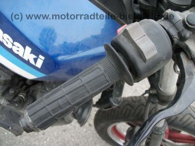Kawasaki_GPZ750UT_blau_Vollverkleidung_Z_KZ_GPZ_ZX_550_750_ZX750_GPZ750_A_E_UT_750UT_750A_72.jpg