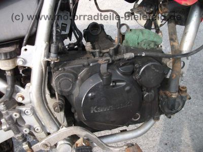 Kawasaki_KLR_650A_rot_Motor_teilzerlegt_KL_KLR_600_650_KLR600_KLR650_A_B_650A_650B_Tengai_600A_600B_38.jpg