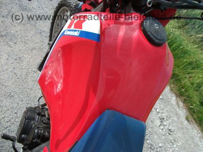 Kawasaki_KLR_650A_rot_Motor_teilzerlegt_KL_KLR_600_650_KLR600_KLR650_A_B_650A_650B_Tengai_600A_600B_76.jpg
