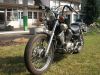 Yamaha_XV_535_Virago_2YL_Gepaecksystem_Gepaecktraeger_Satteltaschenhalter_125_250_750_XV535_39.jpg