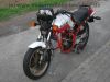 Suzuki_GSX_550EF_rotweiss_Wrack_GN71D_wie_GSX_400_500_550_750_E_ES_EF_48.jpg