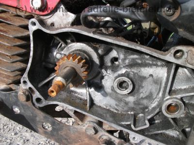 Honda_PX50_AB06_Mofa_wie_PA_PX_PXR_50_PA50_PXR50_Camino_DX_S_48.jpg