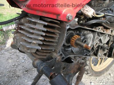 Honda_PX50_AB06_Mofa_wie_PA_PX_PXR_50_PA50_PXR50_Camino_DX_S_51.jpg