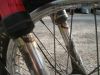 Honda_PX50_AB06_Mofa_wie_PA_PX_PXR_50_PA50_PXR50_Camino_DX_S_69.jpg