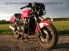 Kawasaki_GPX_600R_rot_und_blau_Gepaecktraeger_Heckumbau_wie_GPZ_GPX_ZZR_ZX_600_A_B_C_D_R_104.jpg