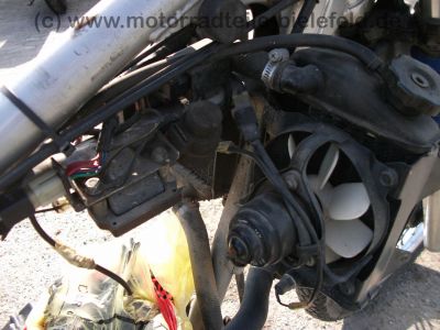 Kawasaki_KLR_250_schwarz_BSM_Auspuff_wie_KL_600_650_KLR250_KLR600_A_B_D_250D_7.jpg