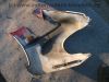 Honda_CBR_600F_PC19_PC23_Restteile_Motor_Tank_Maske_Tacho_wie_500_600_1000_F_PC20_SC21_120.jpg