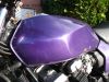 Honda_CBX_550_F_F2_PC04_lila_SEBRING_Auspuff_4_in_1_Anlasser_neu_wie_CBX_400_650_750_F_F2_E_73.jpg