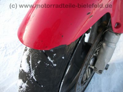 Honda_VTR_1000_F_Firestorm_SC36_BOS_Auspuff_alphatechnik_Racing_wie_SP_SP1_SP2__80.jpg