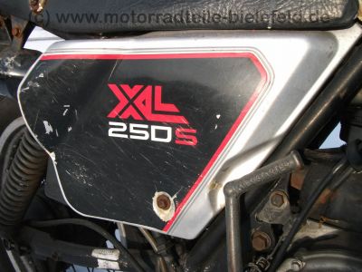 Honda_XL_250_S_silbergrau_Crash_-_wie_XL_125_185_200_250_500_S_R_MD03_PD01_PD02_119.jpg