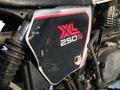 Honda_XL_250_S_silbergrau_Crash_-_wie_XL_125_185_200_250_500_S_R_MD03_PD01_PD02_90.jpg