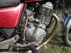 Suzuki_GN_400_D_Chopper_rot_Einzylinder_Gepaecktraeger_wie_GN_DR_125_250_400_SP_370_LS_650_Savage_65.jpg