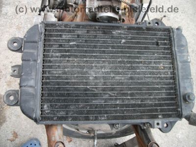 DSCF9406.jpg