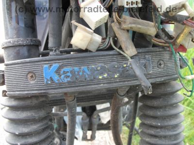 Kawasaki_GT_550_Z_KZ_550_GT_Kardan_blau_-_wie_Z_KZ_ZX_GPZ_550_750_E_GT_UT_LTD_70.jpg
