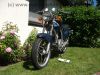 Hyosung_GF_125_15_PS_nur_6_000_KM_-_wie_Karion_XRX_GA_125_Cruise_3.jpg
