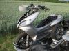 MBK_Thunder_XQ_125_Teile_-_wie_Yamaha_XQ_125_150_Maxster_11.jpg