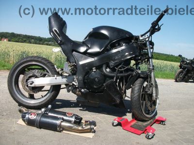 Honda_CBR_1100_XX_SC35_Fighter_Heck_LSL_Superbike_IXIL_EXTREM_Shorty_Auspuff_-_wie_X11_X-Eleven_SC42_1.jpg