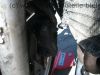 Honda_CBR_1100_XX_SC35_Fighter_Heck_LSL_Superbike_IXIL_EXTREM_Shorty_Auspuff_-_wie_X11_X-Eleven_SC42_75.jpg